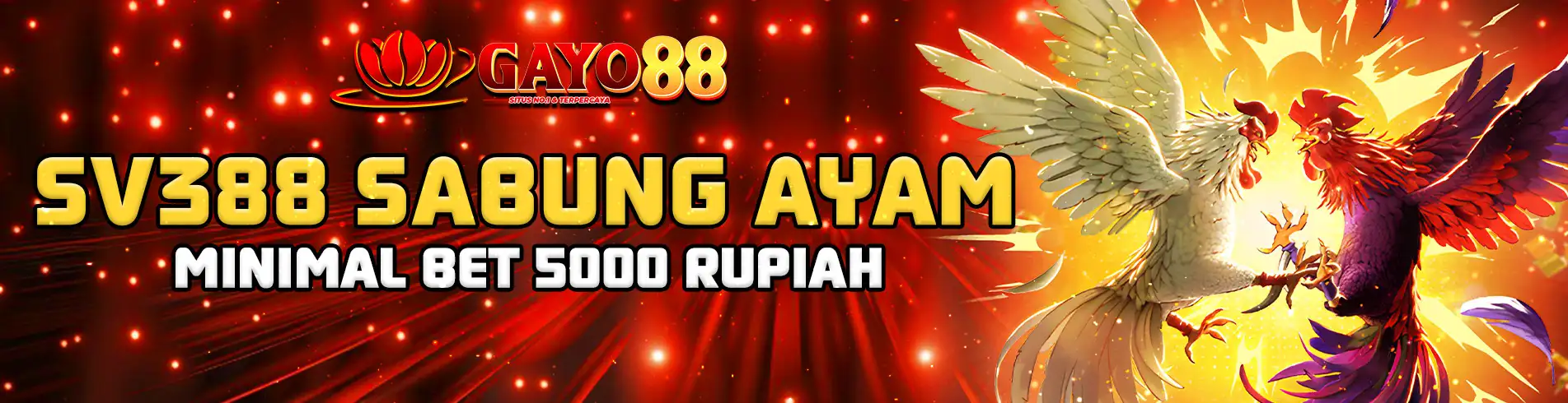 GAYO88 Sabung Ayam SV388